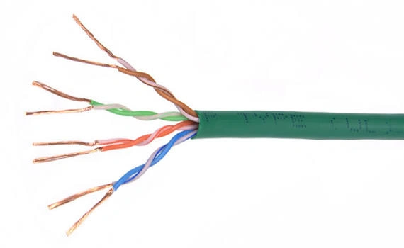 cat6